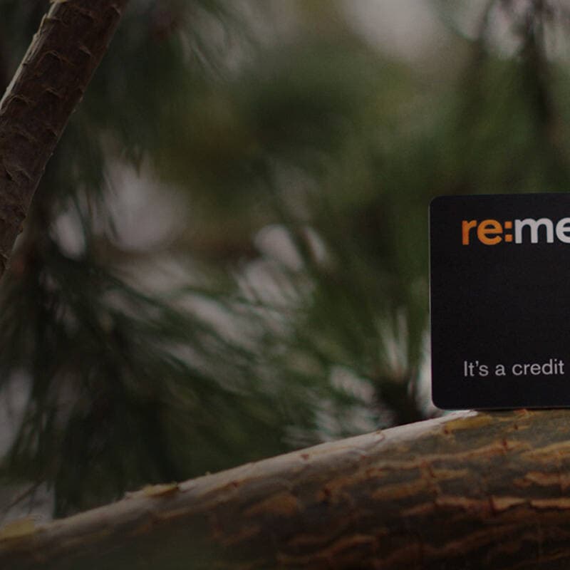 Illustrasjonsfoto av remember kredittkort i et tre